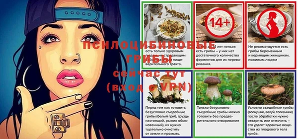 круглые Алексин