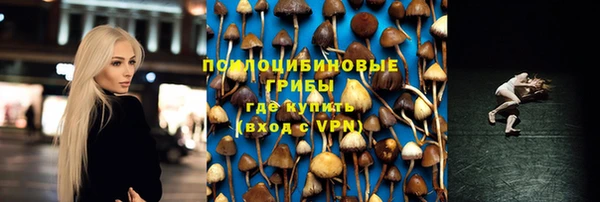 соль ск Алексеевка