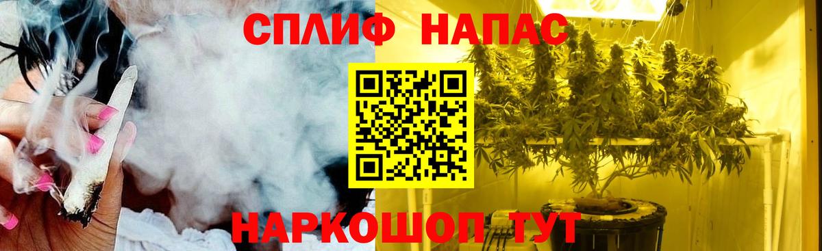 Конопля сатива  Конопля VHQ  Петропавловск-Камчатский  Вход с VPN  Бошки марихуана THC 21% 